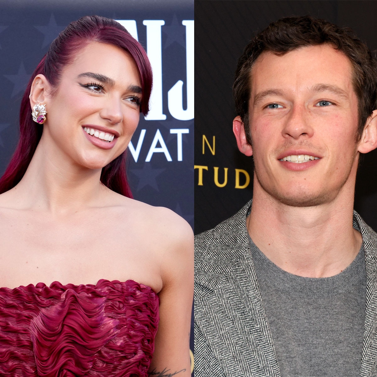 Dua Lipa, Callum Turner