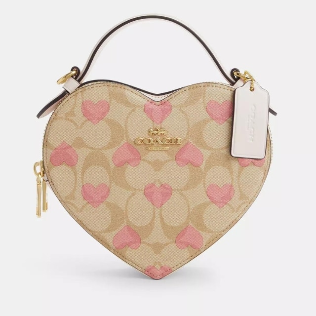 Coach Pink/White Signature Canvas and Leather Hobo For Sale at 1stDibs |  pink and white coach purse, pink and white coach bag, white and pink coach  purse
