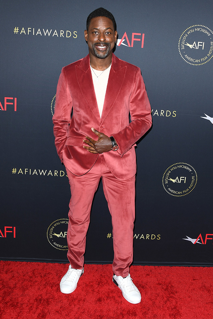 Sterling K. Brown, AFI Awards Luncheon 2024