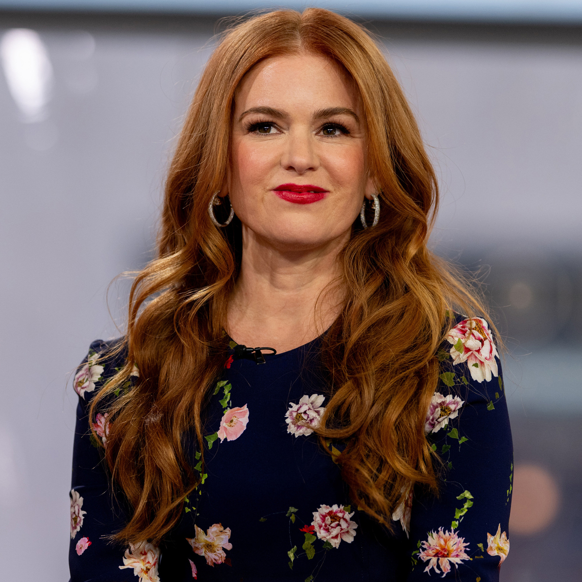 Isla Fisher Shares Update on Potential Wedding Crashers Sequel