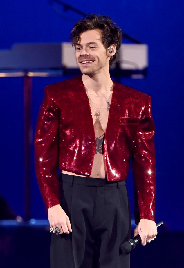 Harry Styles' Pleasing Selling Sex Toys Harry Styles' Pleasing Selling Sex Toys