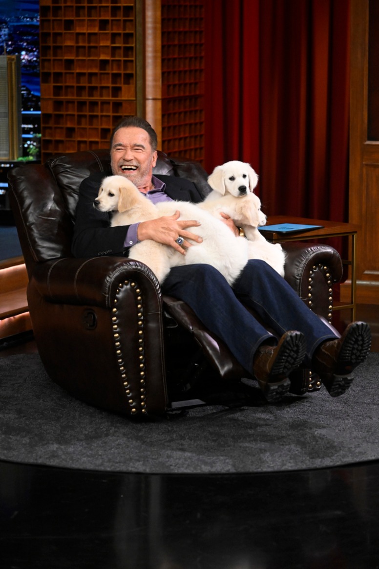 Arnold Schwarzenegger, Big Pic