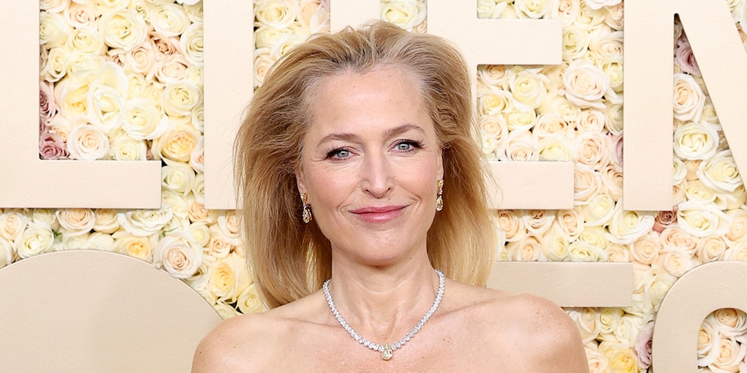 Why Gillian Anderson's Golden Globes Dress Had Embroidered Vaginas Why Gillian Anderson's Golden Globes Dress Had Embroidered Vaginas