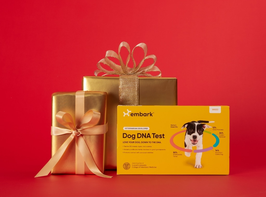 Travel Embark Black Friday This Pet DNA Gift Makes A Perfect