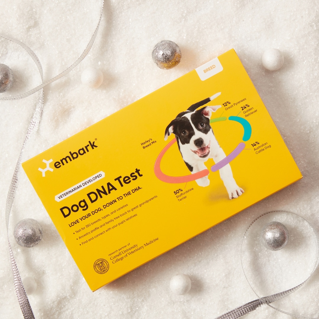 This Pet DNA Gift Makes a Perfect Holiday Treat for Dog Parents