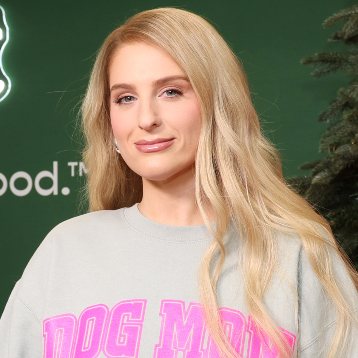 How Meghan Trainor Helped Son Riley Overcome His Fear of Toilets