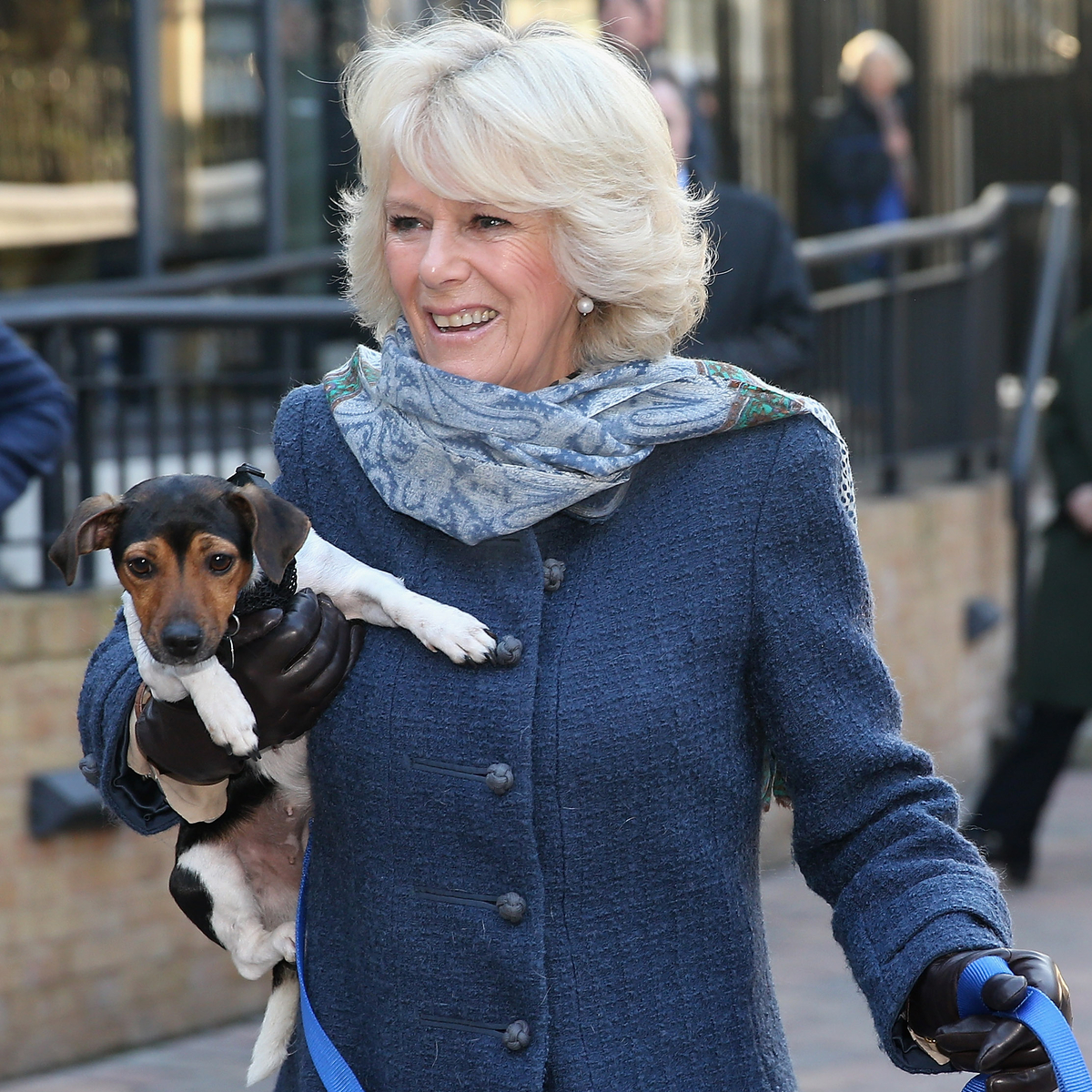 Queen Camilla Mourns Death of Her & King Charles III's Dog Beth