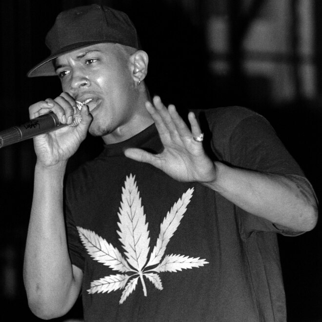 Saafir, Reggie Gibson