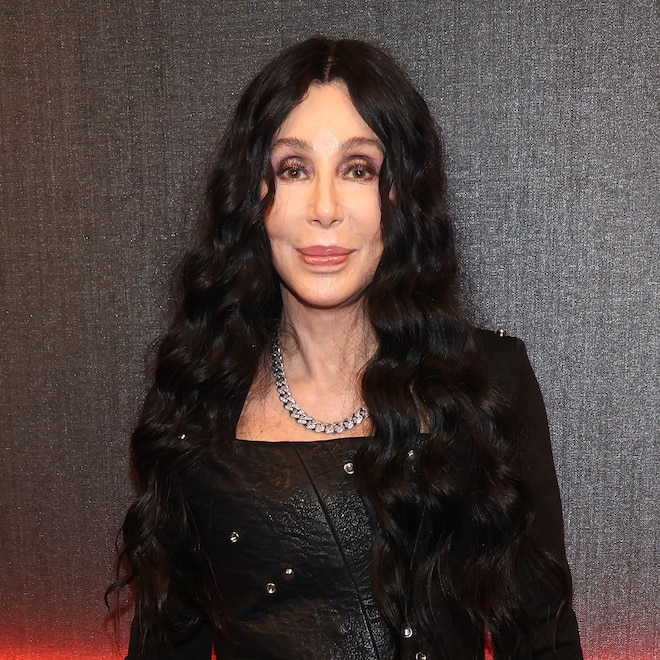 Cher, Rock and Roll Hall Of Fame Induction Ceremony, 2024