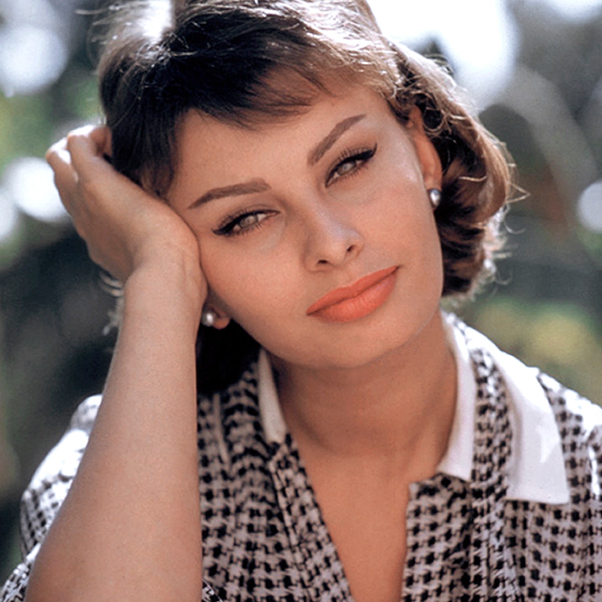 Sophia Loren