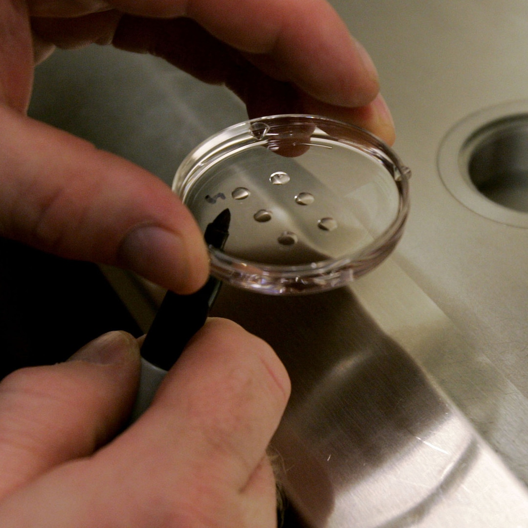 Couples Whose Babies Were Accidentally Swapped in IVF Mix-Up Share Rare Update – E! Online Couples Whose Babies Were Accidentally Swapped in IVF Mix-Up Share Rare Update – E! Online