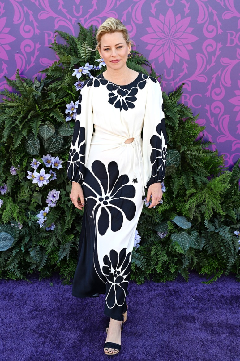 Elizabeth Banks, Big Pic