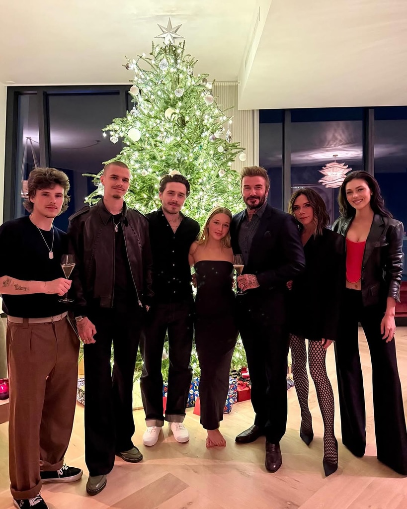 Victoria Beckham, David Beckham, Romeo Beckham, Brooklyn Beckham, Nicola Peltz, Cruz Beckham, Harper Beckham