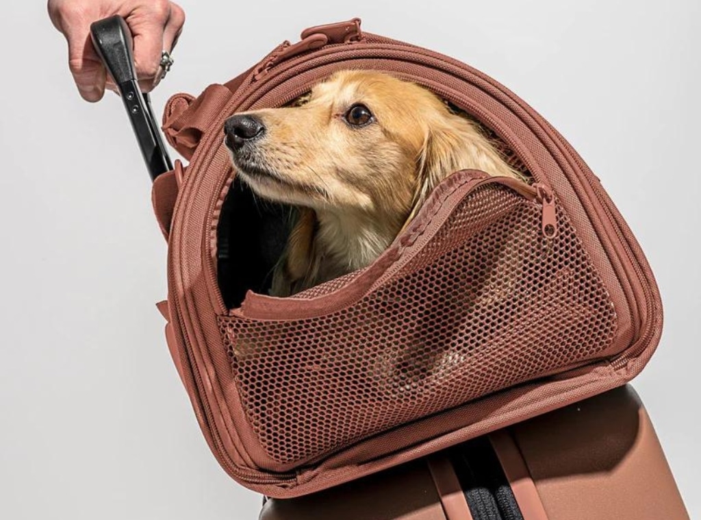 Shop Best Airline-Approved Pet Carriers