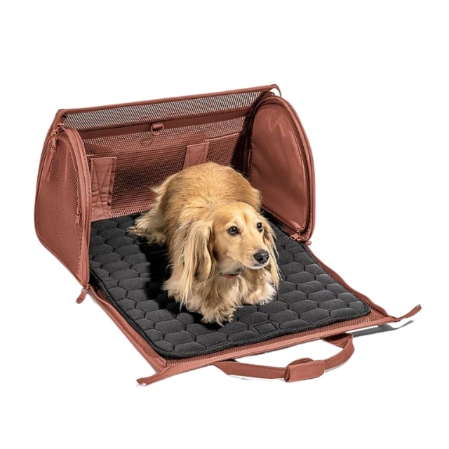 Best airline discount dog crate
