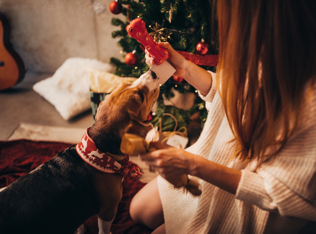 Store Gifts for Original Pet Owners