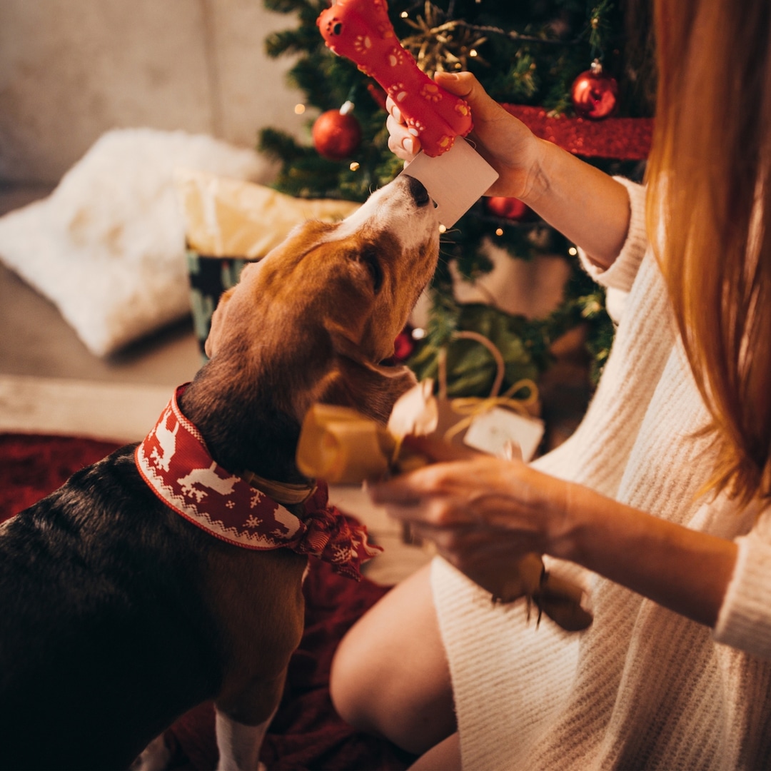 The Best Gifts for First-Time Pet Owners: Treats, Toys, and Essentials They’ll Love – E! Online The Best Gifts for First-Time Pet Owners: Treats, Toys, and Essentials They’ll Love – E! Online