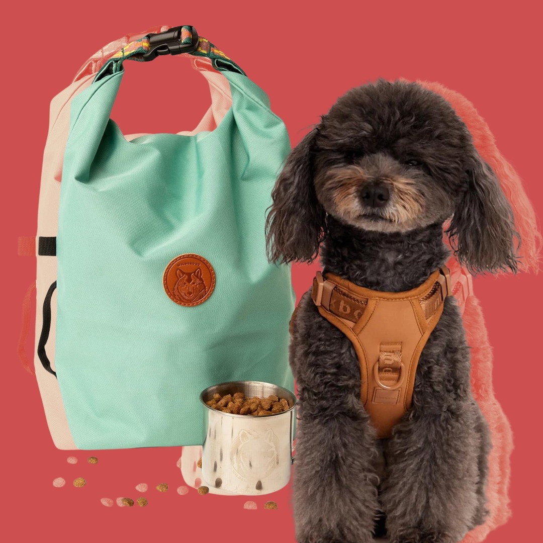 Traveling With Your Pet? Here Are the Must-Have Travel Essentials for a Purrfectly Smooth Trip – E! Online Traveling With Your Pet? Here Are the Must-Have Travel Essentials for a Purrfectly Smooth Trip – E! Online