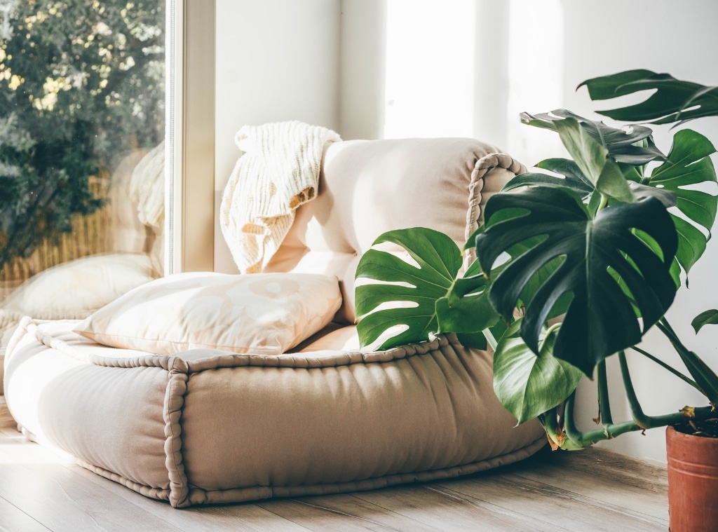 Shop Spring Break Homecation