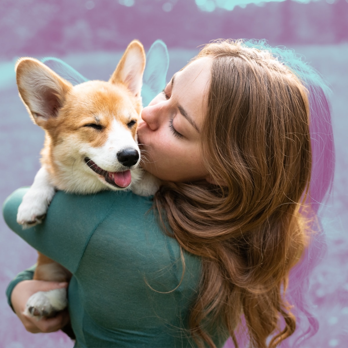 Valentine’s Day Gifts for Your Pets To Show How Much You Woof Them