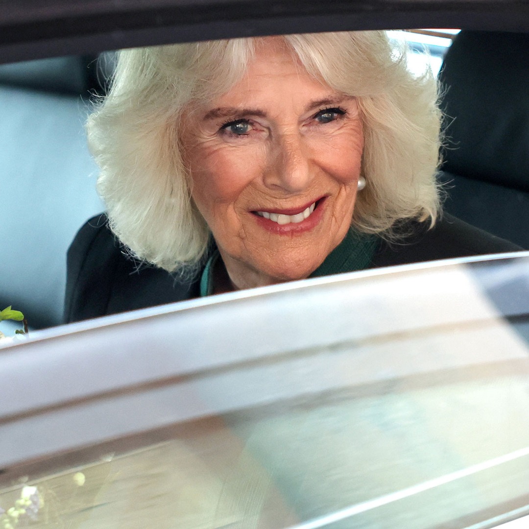 споделя вникване в продължаващата здравна битка на крал Чарлз III По