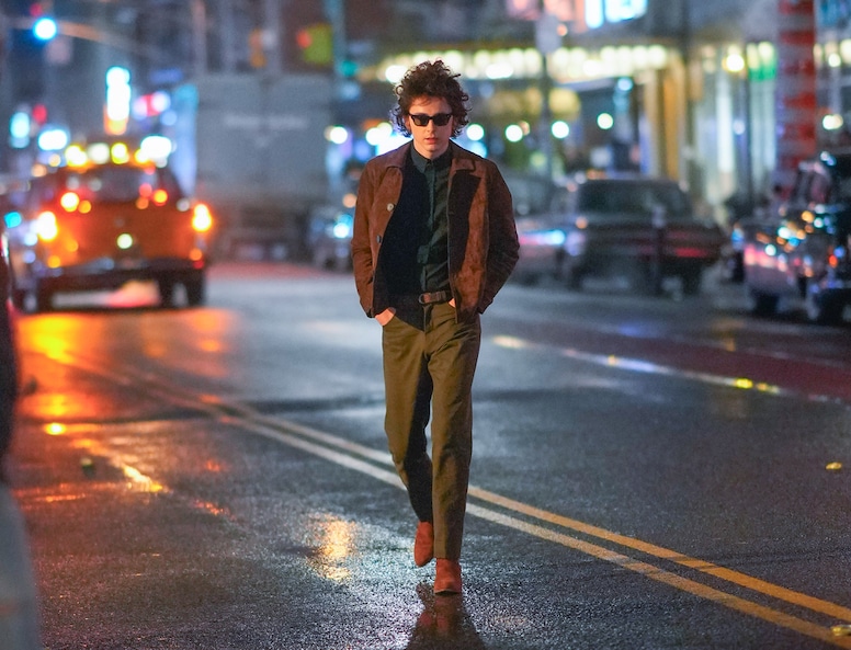 Timothée Chalamet, Bob Dylan Movie, A Complete Unknown
