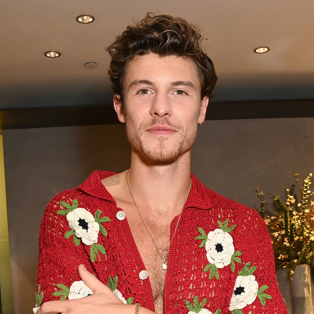 Сега нищо не спира Шон Мендес Всъщност изпълнителят на Treat