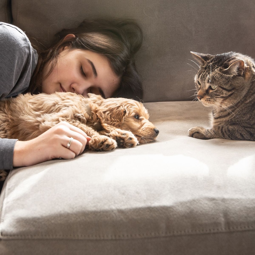 Celebrate National Pet Day with These Paws-ome & Purr-fect Gifts for Your Furry Friend – E! Online Celebrate National Pet Day with These Paws-ome & Purr-fect Gifts for Your Furry Friend – E! Online