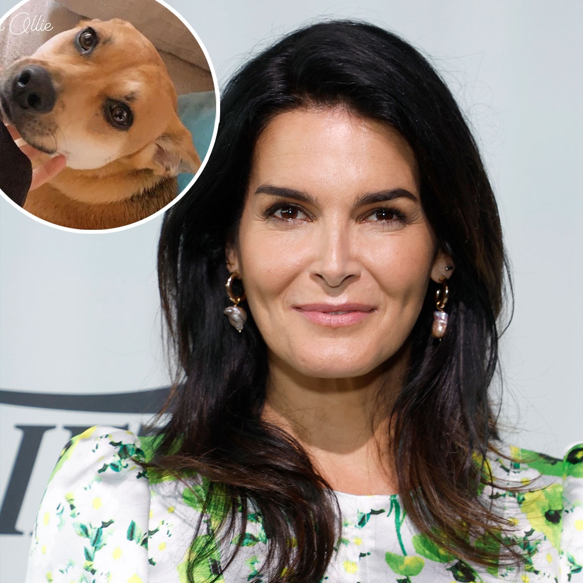 Law & Order’s Angie Harmon Says Deliveryman Shot and Killed Dog