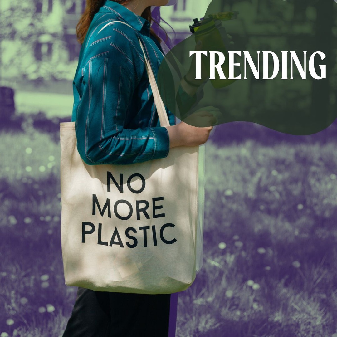 Our Favorite Sustainable and Eco-Friendly Brands – E! Online Our Favorite Sustainable and Eco-Friendly Brands – E! Online