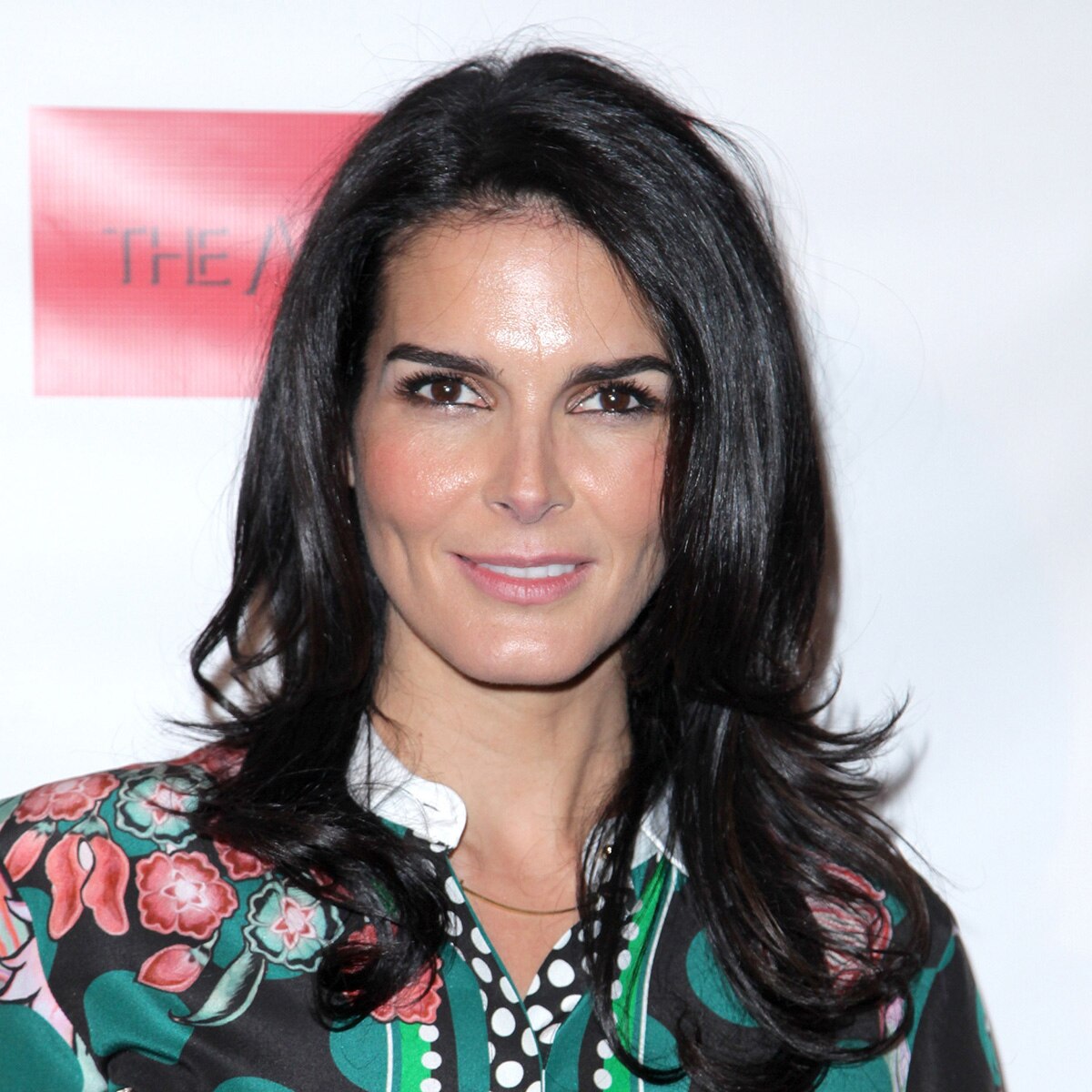 Angie Harmon