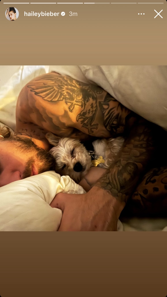 Justin Bieber, Dog, Hailey Bieber, Instagram