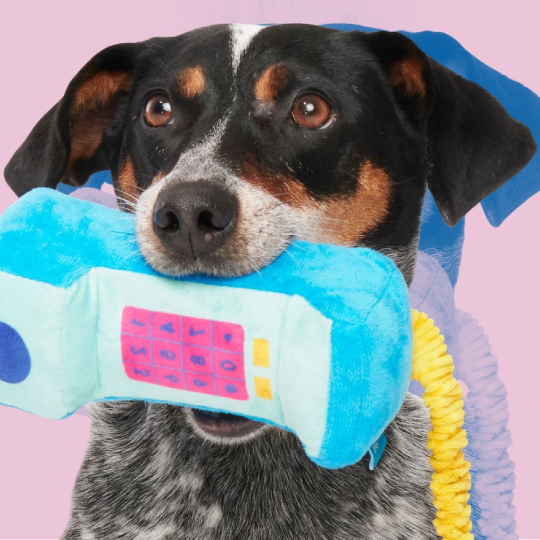 Your Dog Called & Asked For A BarkBox Full Of Paw-some Treats & Toys