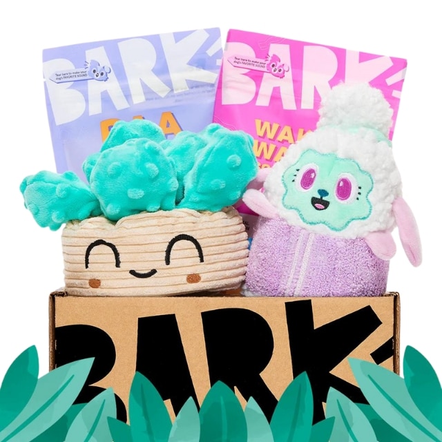 Barkbox retail free extra toy