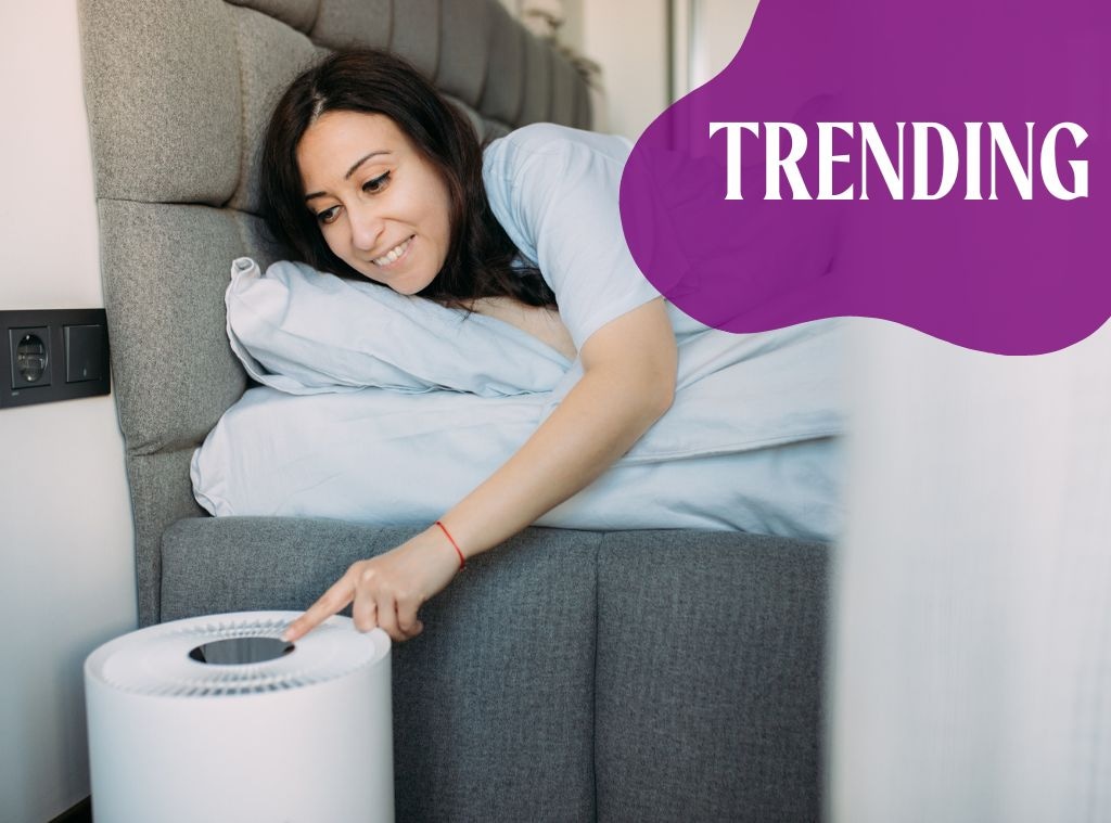 SHOP The Best Air Purifiers for Spring and Summer Allergies main image