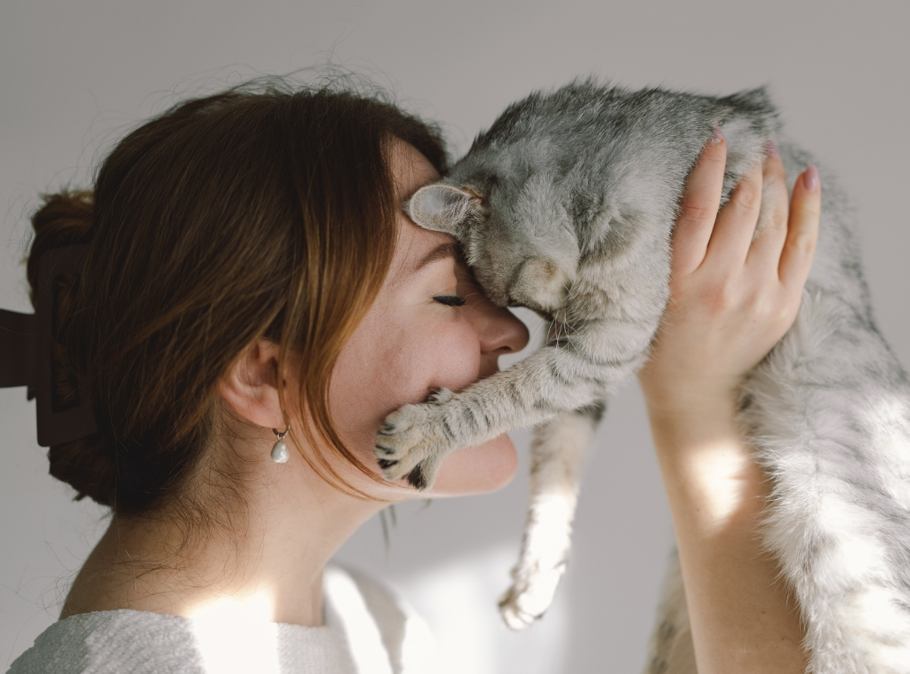 Store Most efficient Mother's Day Gift For Cat Mothers