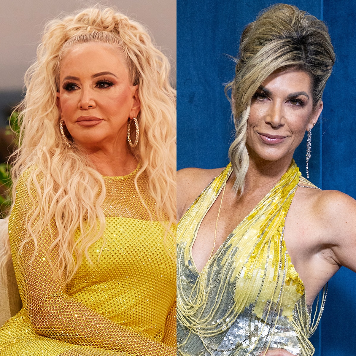 Shannon Beador, Alexis Bellino