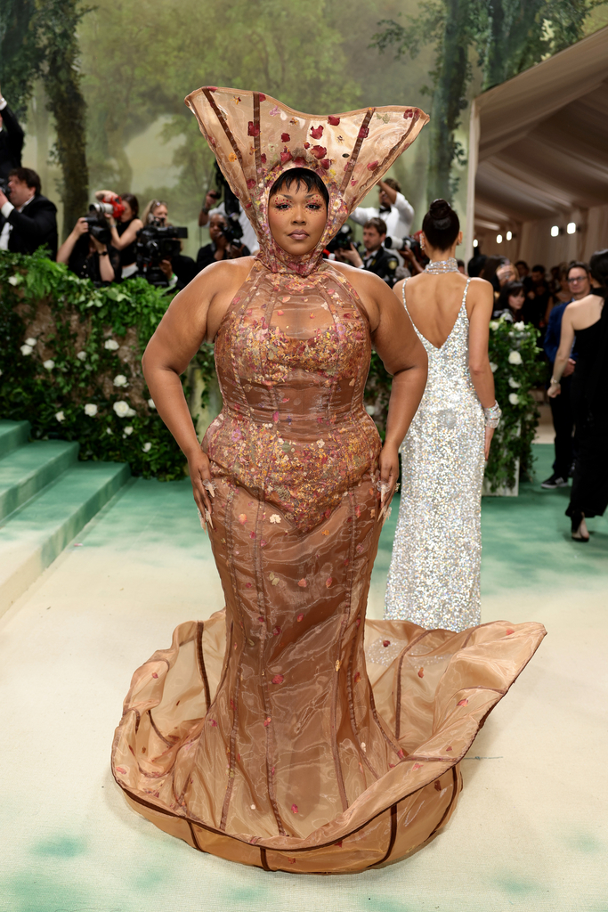 gold clock dress met gala 2024 Pink Long Sleeve Fringe Embellished Column Gown main image 1