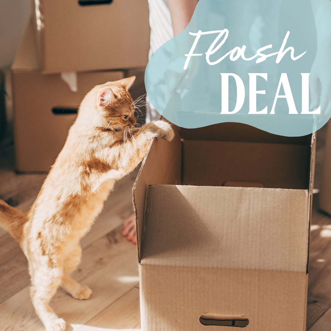 These Hidden Gem Amazon Pet Day Deals Are Actually The Best Ones — But You Only Have Today To Shop Them – E! Online These Hidden Gem Amazon Pet Day Deals Are Actually The Best Ones — But You Only Have Today To Shop Them – E! Online