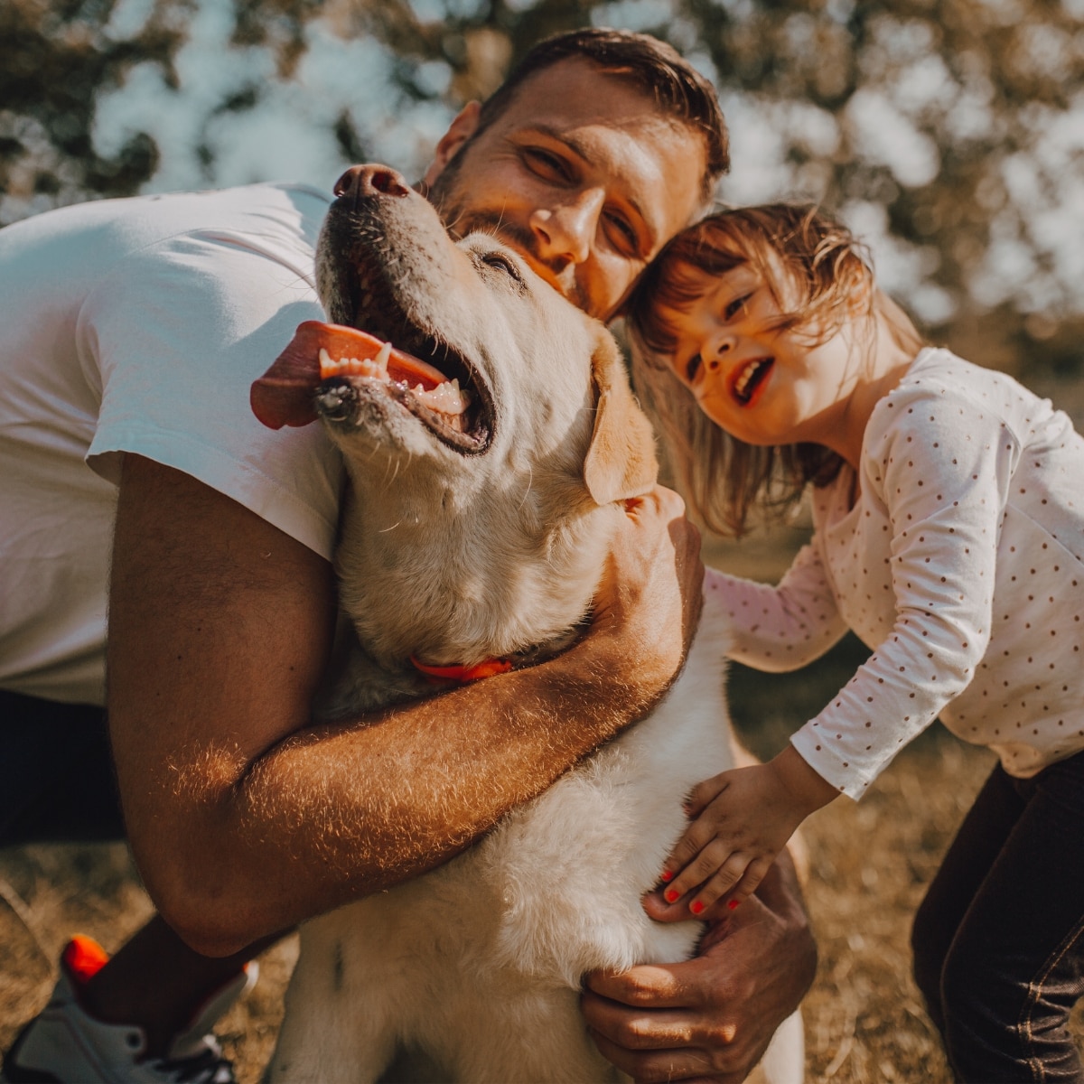 Gifts for a dog dad best sale