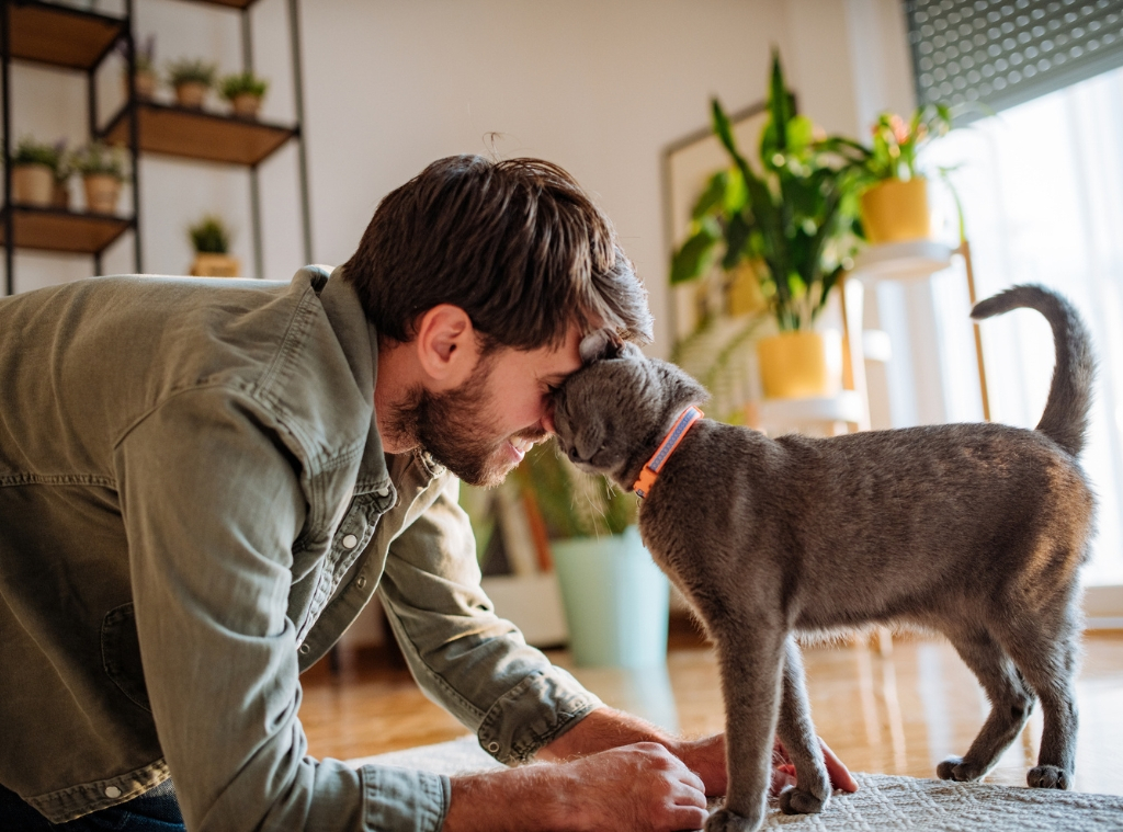 Store Gifts for Cat Dads