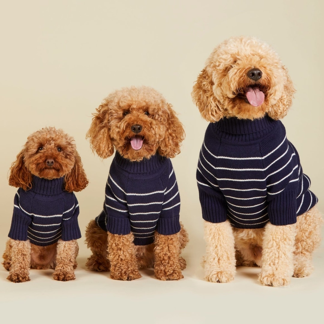 Reese Witherspoon’s Draper James x The Foggy Dog Has The Cutest Matching Pup & Me Outfits We’ve Ever Seen – E! Online Reese Witherspoon’s Draper James x The Foggy Dog Has The Cutest Matching Pup & Me Outfits We’ve Ever Seen – E! Online