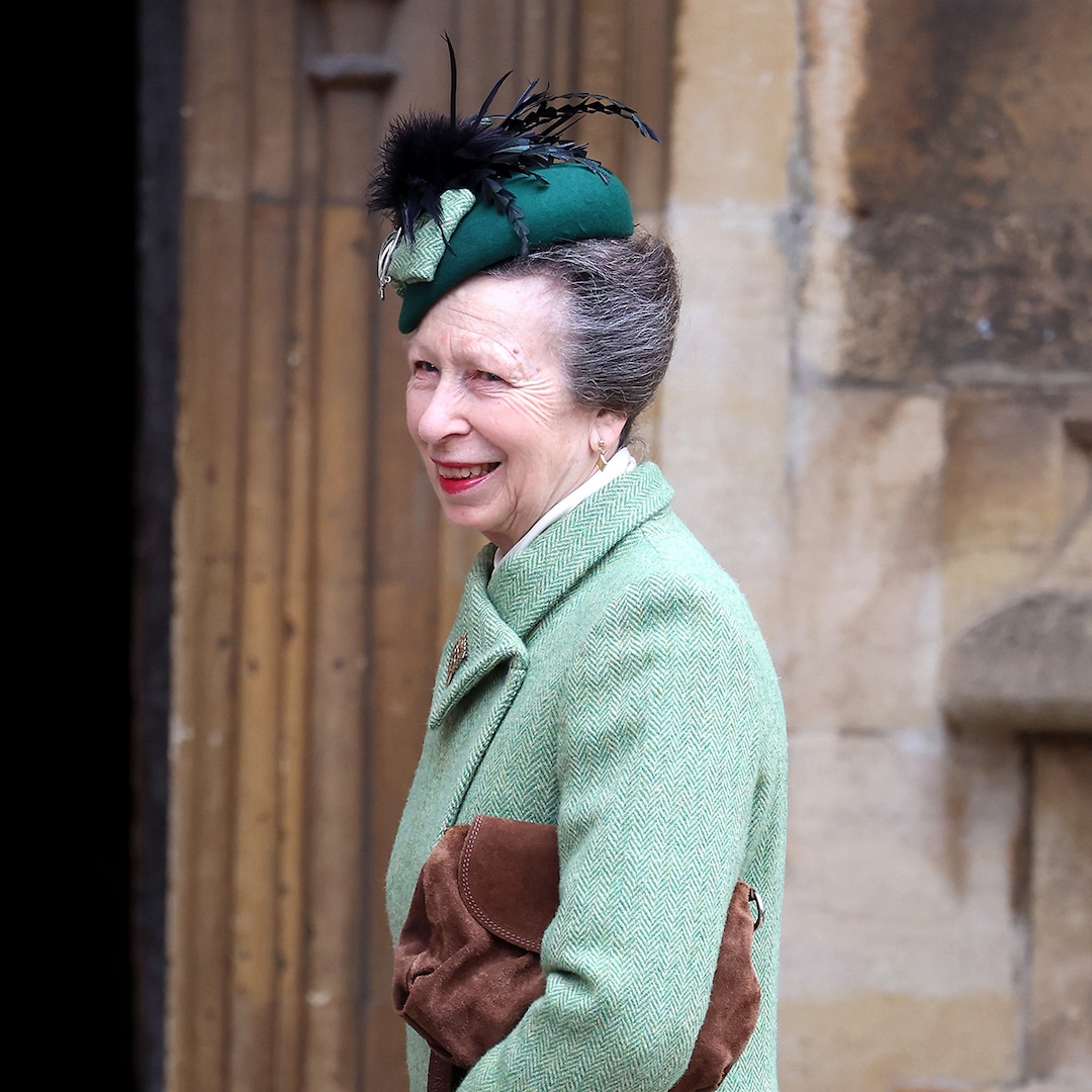 Princess Anne Released From Hospital After Sustaining Head Injury  – E! Online Princess Anne Released From Hospital After Sustaining Head Injury  – E! Online