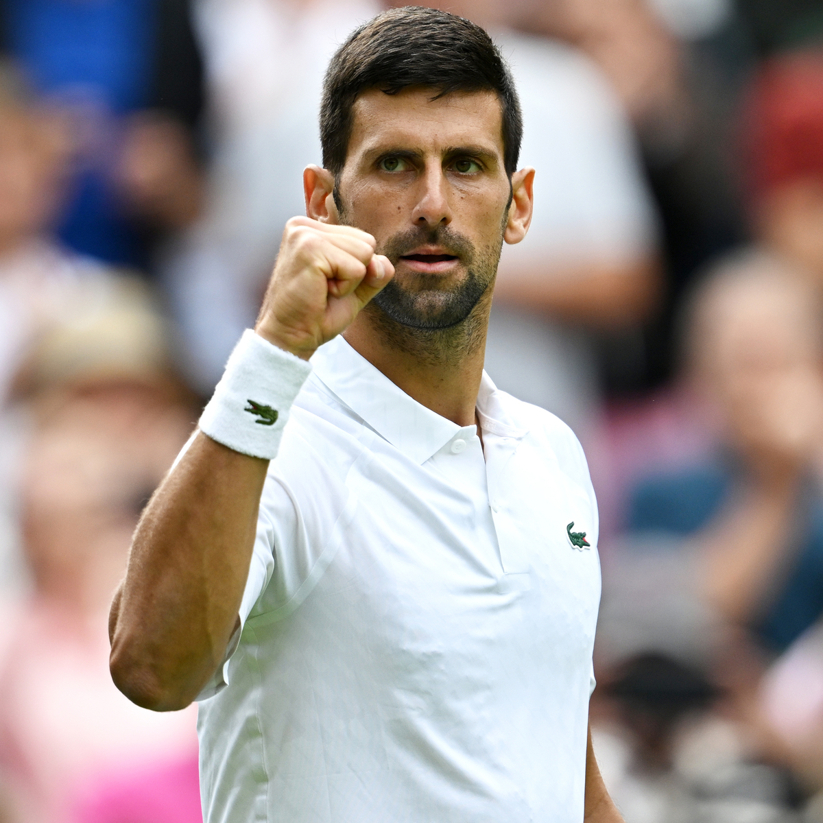 Novak Djokovic Withdraws From French Open After Suffering Knee Injury