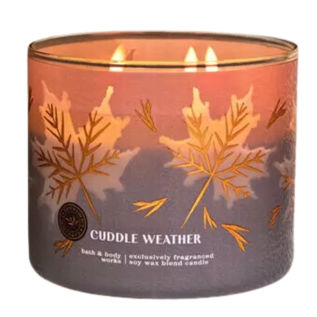 TEST 2024 STORE Bath Body Works Vermont Maple Candy 3 Wick Candle