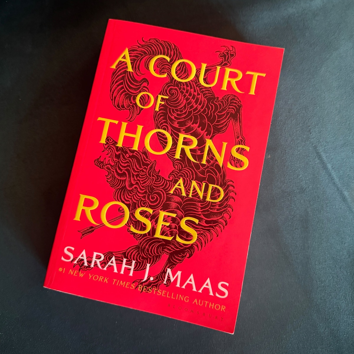 ACOTAR Book, A Court of Thorns and Roses