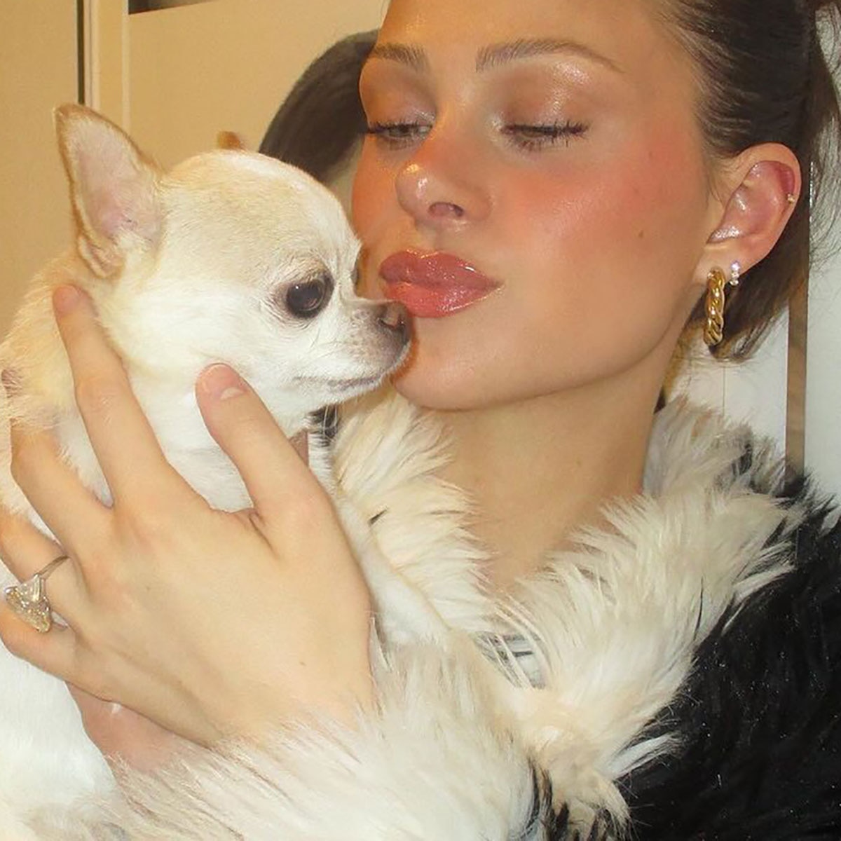 Nicola Peltz Beckham Köpeğin Ölümü Nedeniyle Damatçıya Dava Açtı