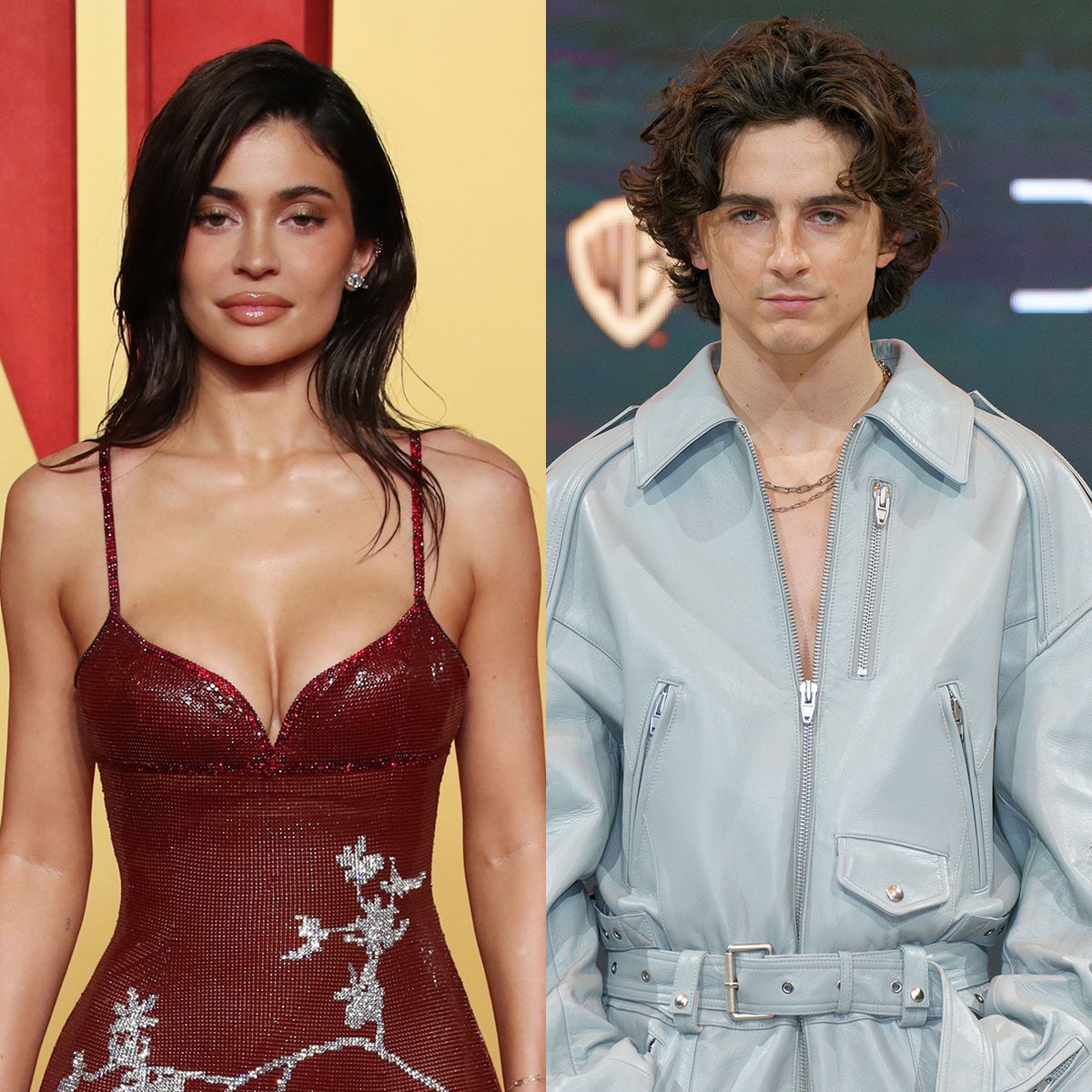 Kylie Jenner and Timothee Chalamet Prove Sky's the Limit on Jet Date