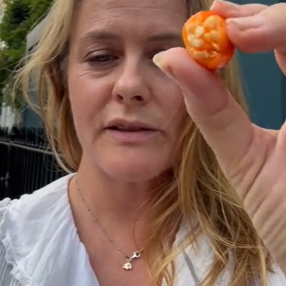 Os fãs estão totalmente incomodados com Alicia Silverstone comendo frutas de rua