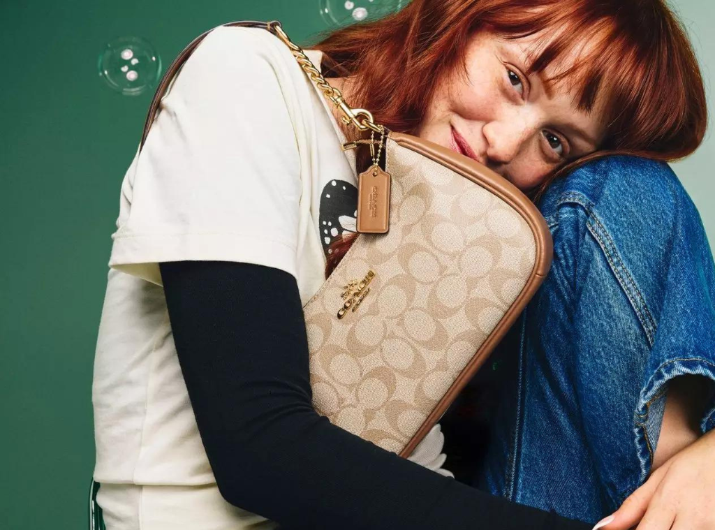 Coach bags usa sales
